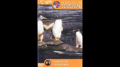 L’Odyssée sous-marine de l'équipe Cousteau