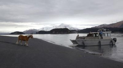 Dr. Oakley, Yukon Vet