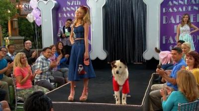 Dog with a Blog