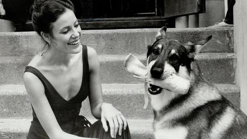 The Littlest Hobo filmas žiurėti online