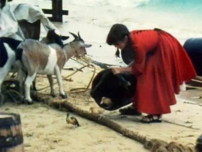 Swiss Family Robinson