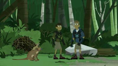 Wild Kratts