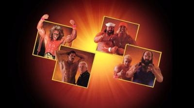 WWE Pay Per View