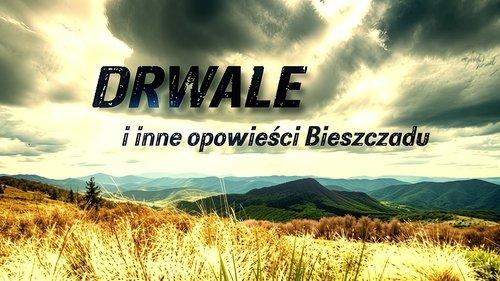 Drwale i inne opowieści Bieszczadu filmas žiurėti online