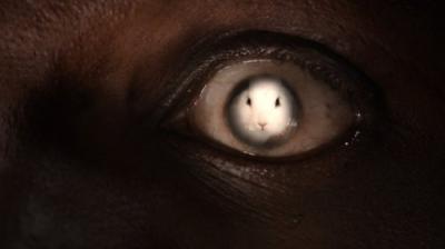 Everybody Hates Chris