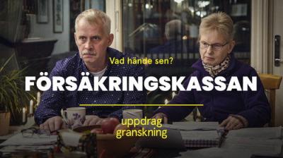 Uppdrag granskning sommar