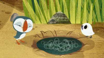 Puffin Rock