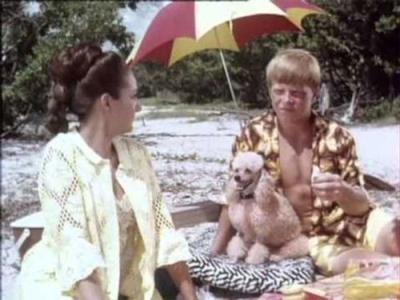 Flipper