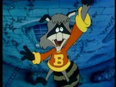 The Raccoons