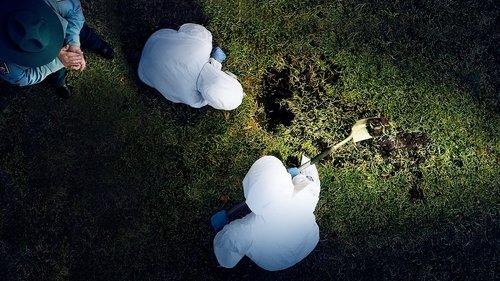 Buried In The Backyard filmas žiurėti online