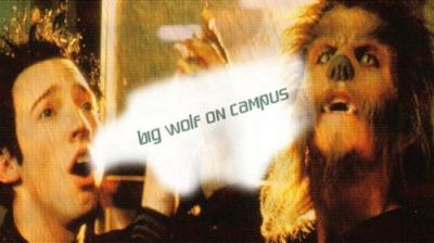 Big Wolf on Campus