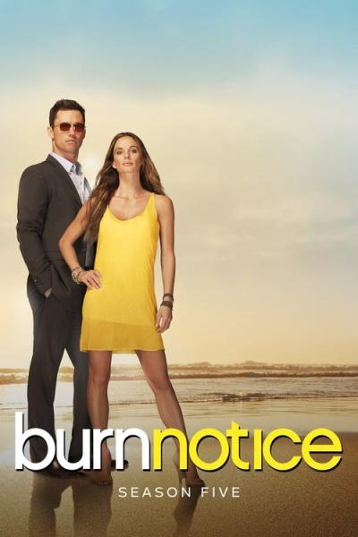 Burn Notice filmas online
