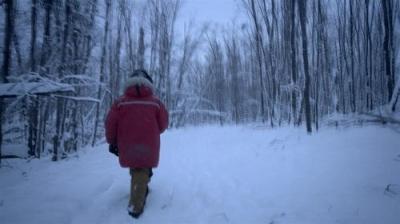 Life Below Zero