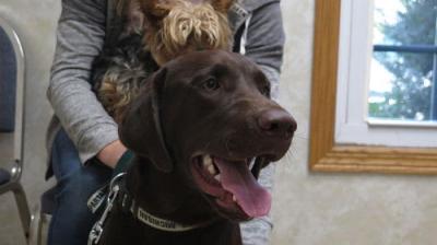 The Incredible Dr. Pol