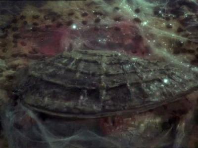 Stingray