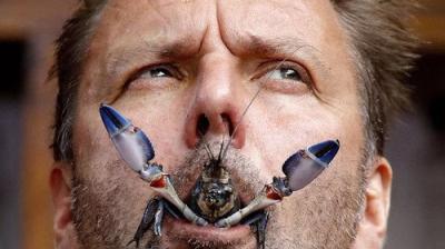 I'm a Celebrity...Get Me Out of Here!