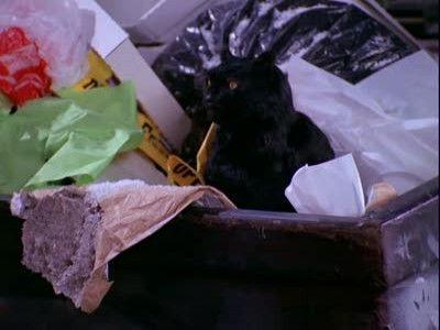 Sabrina, the Teenage Witch