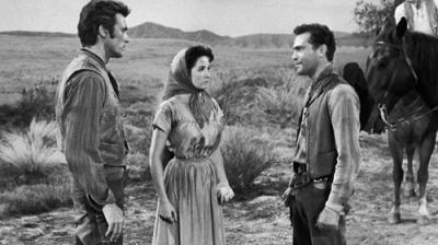 Rawhide