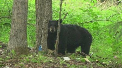 Alaska State Troopers