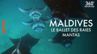ARTE 360° Reportage