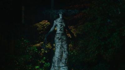 The Birch