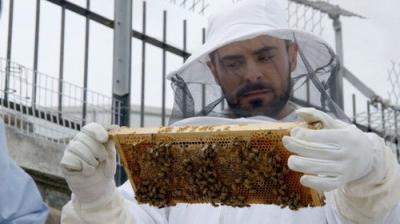 Down to Earth with Zac Efron