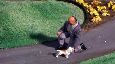 Robot Chicken