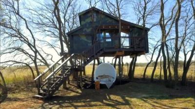 Treehouse Masters