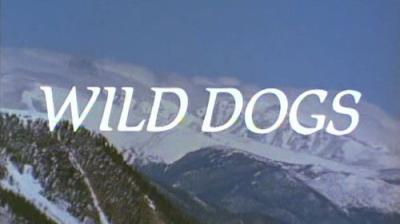 Marty Stouffer's Wild America