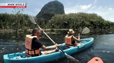 Asia Insight