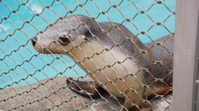 Secrets of the Zoo: Down Under