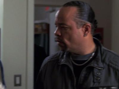 Įstatymas ir tvarka. Specialiųjų tyrimų skyrius