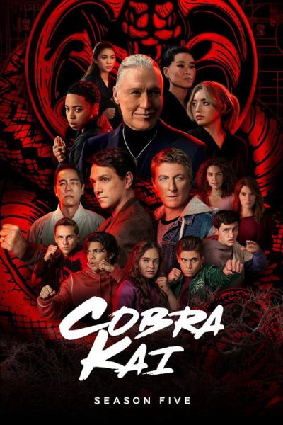 Kobra Kai filmas online