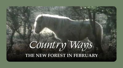 Country Ways