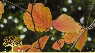 Gardeners' World
