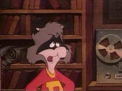 The Raccoons