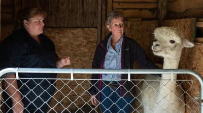 The Incredible Dr. Pol