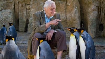 David Attenborough's Natural Curiosities