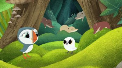 Puffin Rock