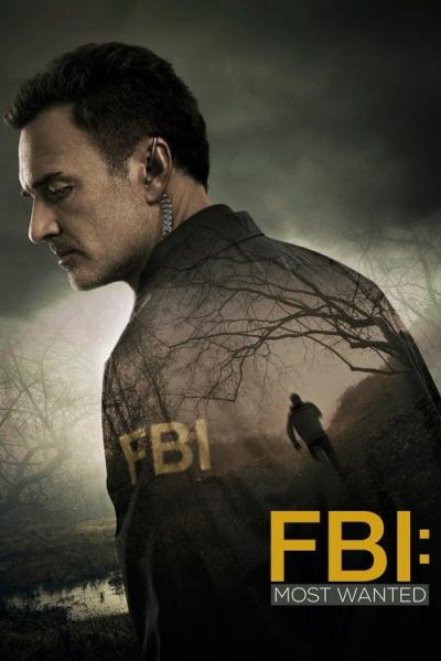 FTB: Labiausiai ieškomi filmas online