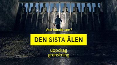 Uppdrag granskning