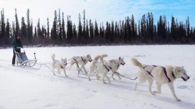 The Amazing Race Canada