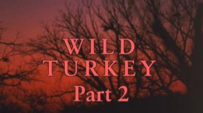 Marty Stouffer's Wild America