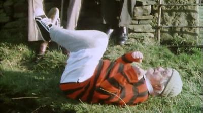 Last of the Summer Wine