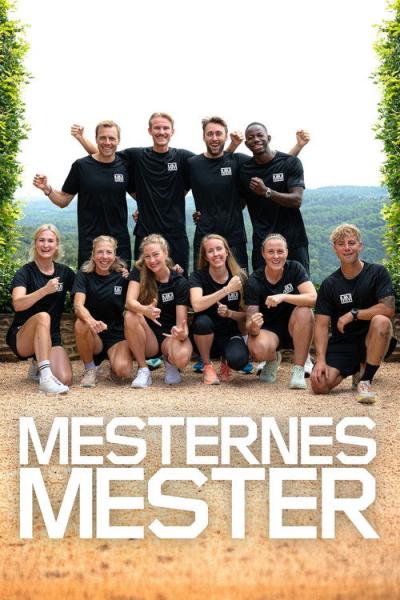 Mesternes mester filmas online