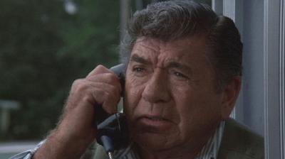 In the Heat of the Night