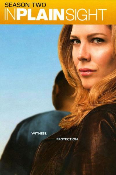 In Plain Sight filmas online