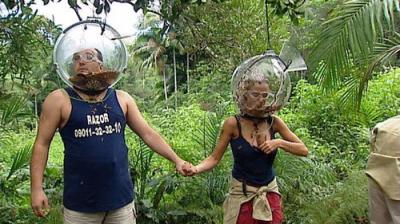 I'm a Celebrity...Get Me Out of Here!