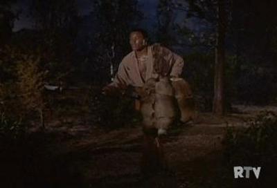 Daniel Boone