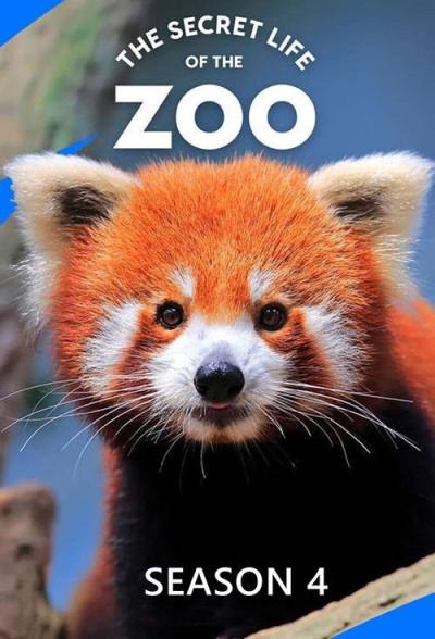 The Secret Life of the Zoo filmas online